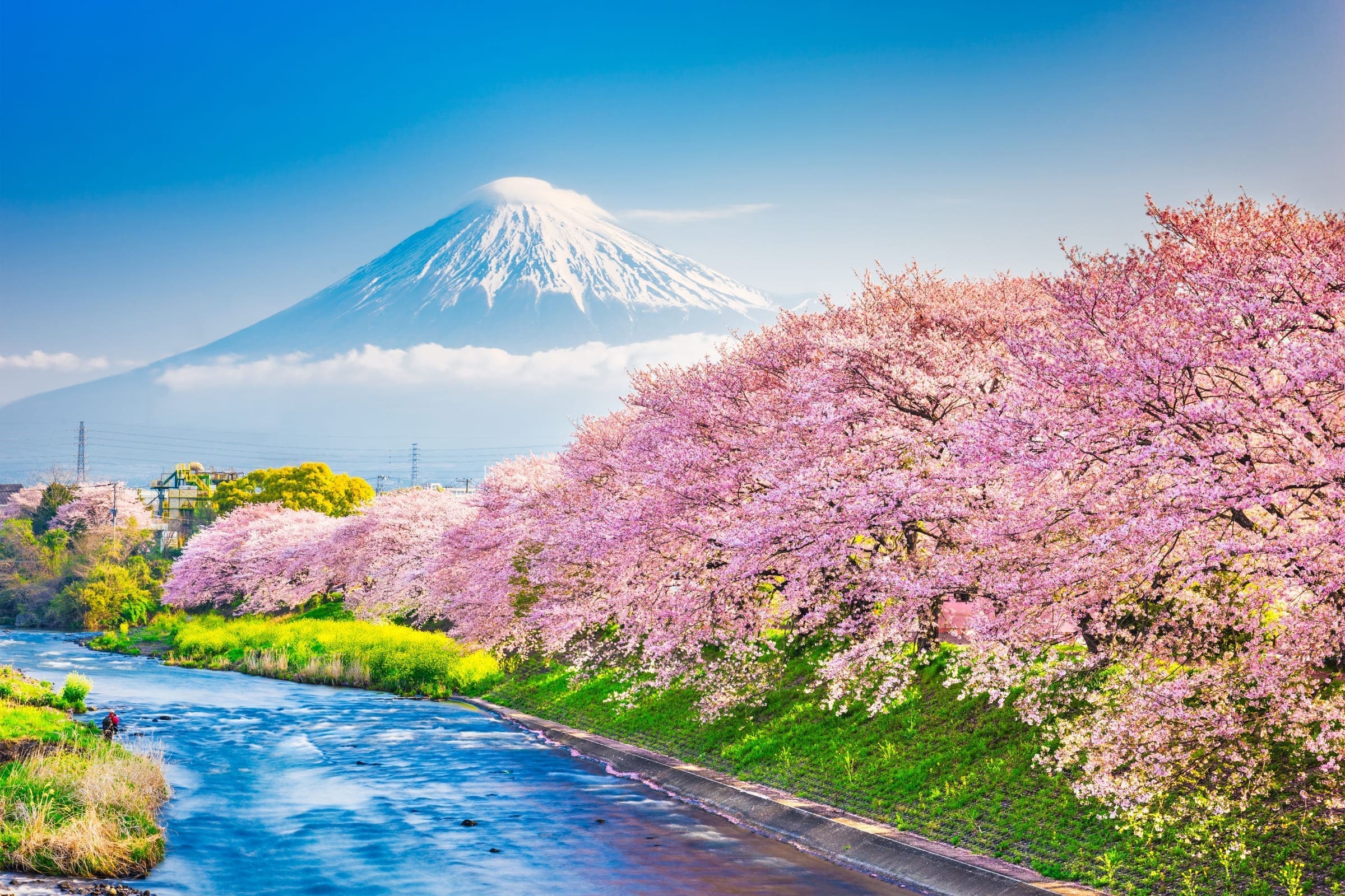 Luxury North Pacific Crossing Cruise with Tokyo Stay & Mt Fuji Tour – Holland America Line